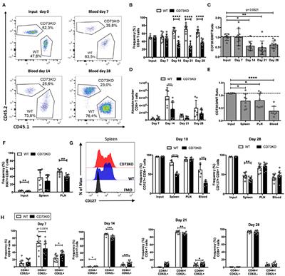 Ecto-5′-Nucleotidase (CD73) Regulates the Survival of CD8+ T Cells